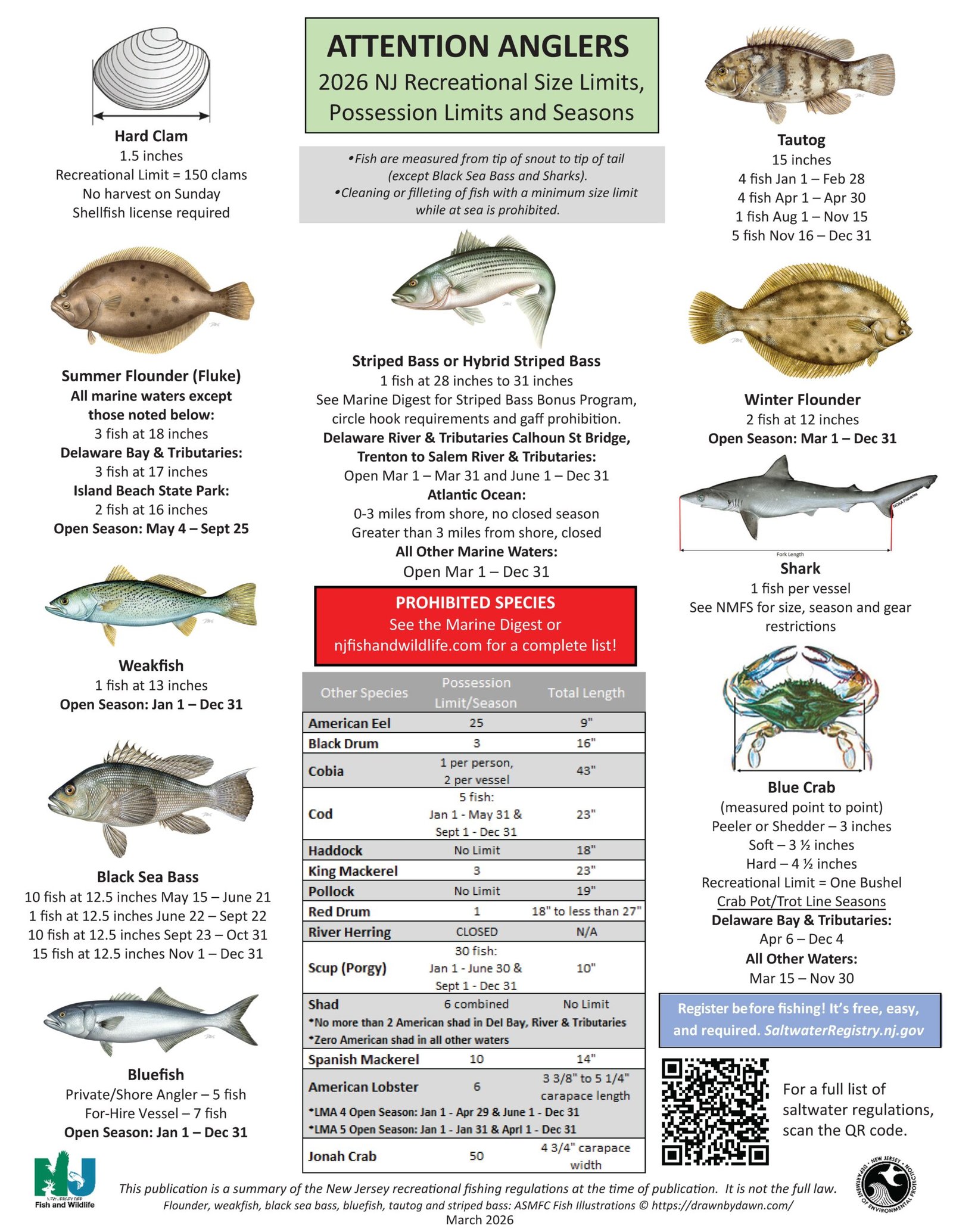 Fishing Size Chart 2026