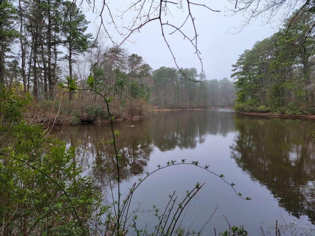 Winding River South Park Picnic Area