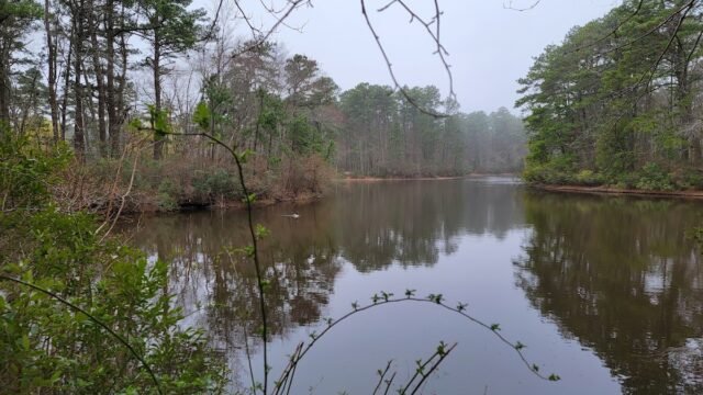 Winding River South Park Picnic Area